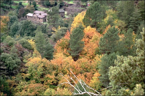 Panorama en face de Lou valat à L'automne