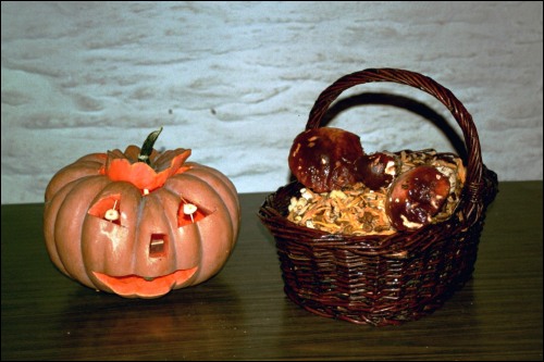 Plaisir d'automne